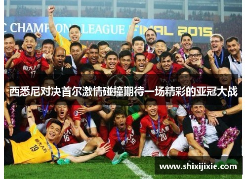 西悉尼对决首尔激情碰撞期待一场精彩的亚冠大战