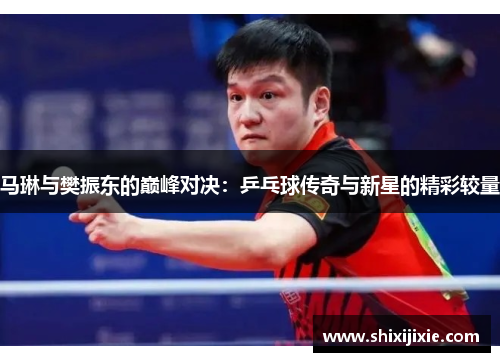 马琳与樊振东的巅峰对决：乒乓球传奇与新星的精彩较量